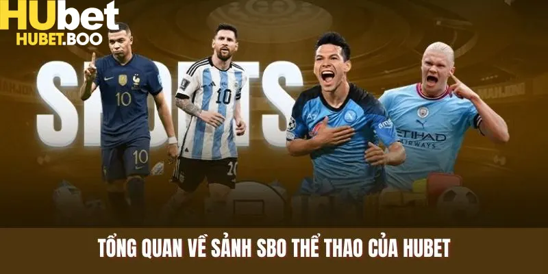 Tổng quan về sảnh SBO thể thao của Hubet