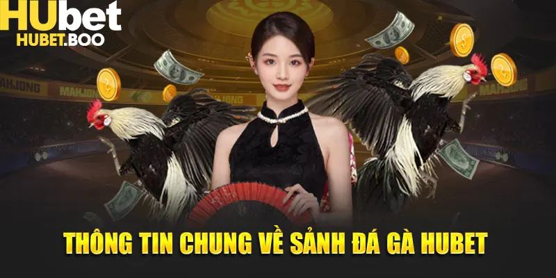 Thông tin chung về sảnh đá gà Hubet