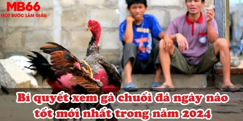 Đặc điểm ngoại hình của gà chuối ra sao?