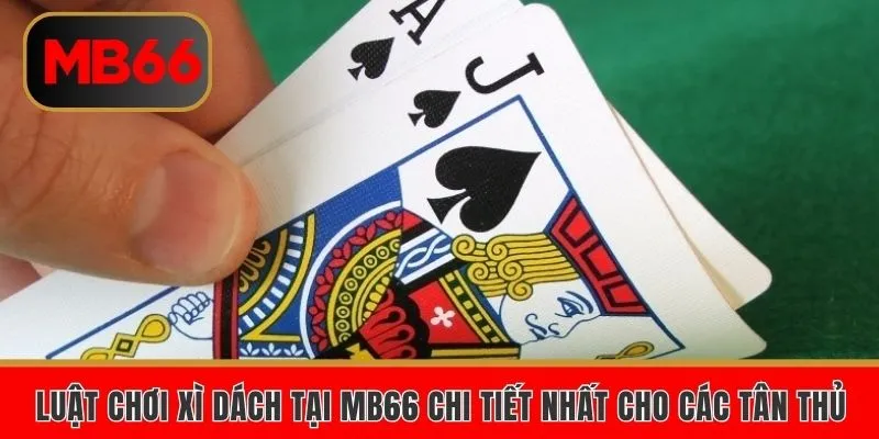 Luật Chơi Xì Dách Tại Mb66 Chi Tiết Nhất Cho Các Tân Thủ